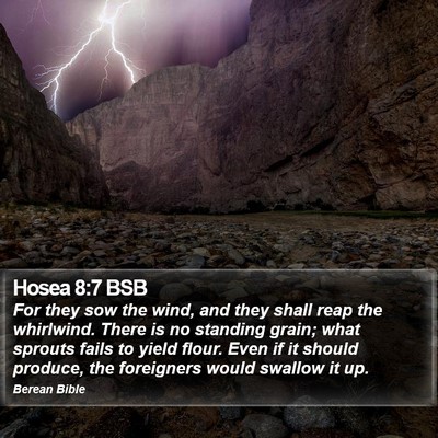 Hosea 8:7 BSB Bible Verse Image