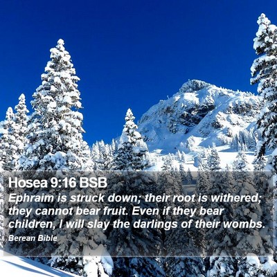 Hosea 9:16 BSB Bible Verse Image