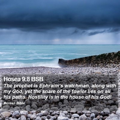 Hosea 9:8 BSB Bible Verse Image