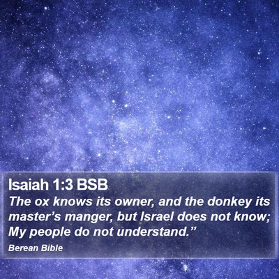 Isaiah 1:3 BSB Bible Verse Image