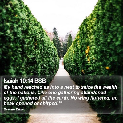 Isaiah 10:14 BSB Bible Verse Image