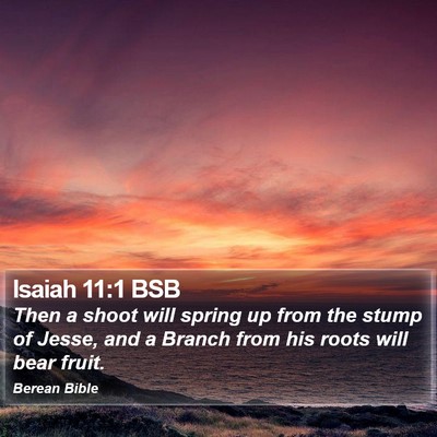 Isaiah 11:1 BSB Bible Verse Image