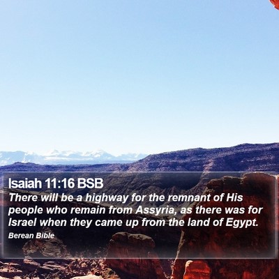 Isaiah 11:16 BSB Bible Verse Image