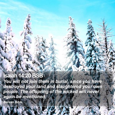 Isaiah 14:20 BSB Bible Verse Image