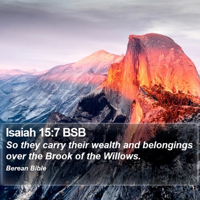 Isaiah 15:7 BSB Bible Verse Image