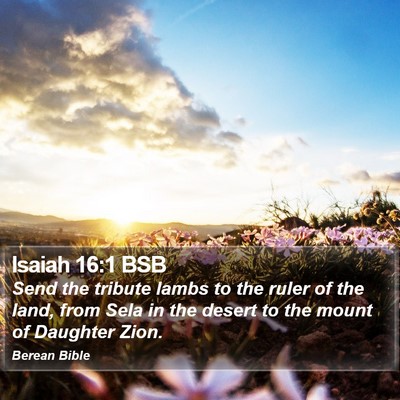 Isaiah 16:1 BSB Bible Verse Image