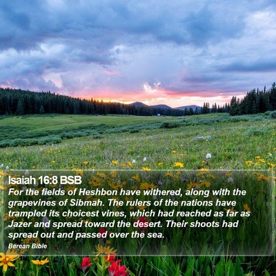 Isaiah 16:8 BSB Bible Verse Image