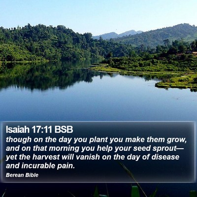 Isaiah 17:11 BSB Bible Verse Image