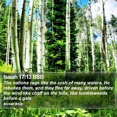 Isaiah 17:13 BSB Bible Verse Image