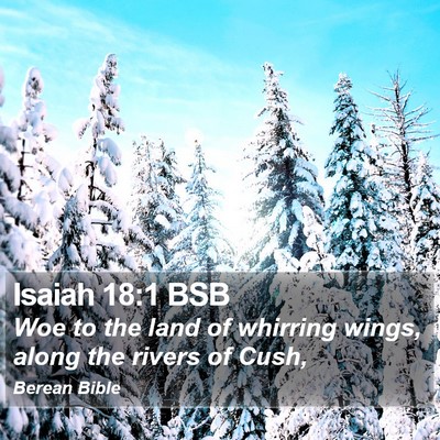 Isaiah 18:1 BSB Bible Verse Image