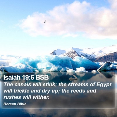 Isaiah 19:6 BSB Bible Verse Image