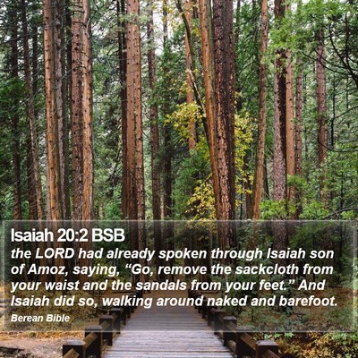 Isaiah 20:2 BSB Bible Verse Image