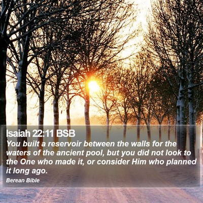 Isaiah 22:11 BSB Bible Verse Image