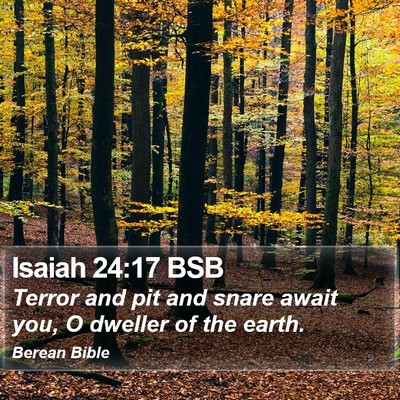 Isaiah 24:17 BSB Bible Verse Image