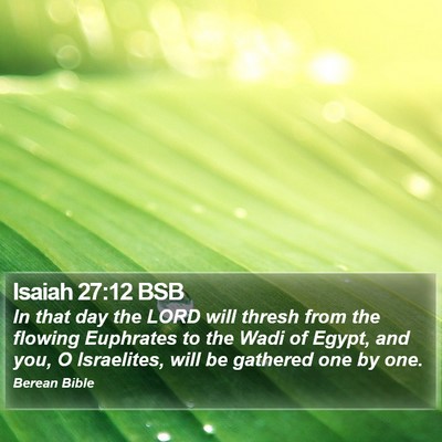 Isaiah 27:12 BSB Bible Verse Image