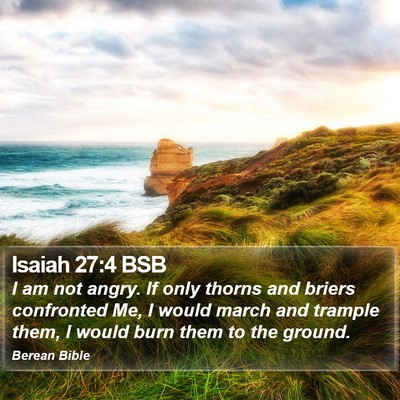 Isaiah 27:4 BSB Bible Verse Image