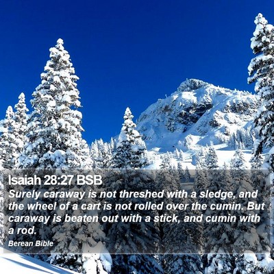 Isaiah 28:27 BSB Bible Verse Image