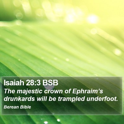 Isaiah 28:3 BSB Bible Verse Image