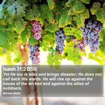 Isaiah 31:2 BSB Bible Verse Image