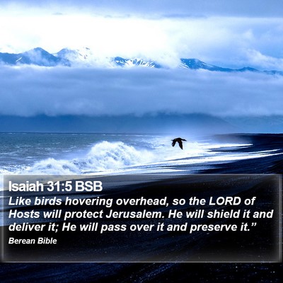 Isaiah 31:5 BSB Bible Verse Image