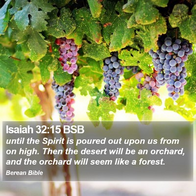 Isaiah 32:15 BSB Bible Verse Image
