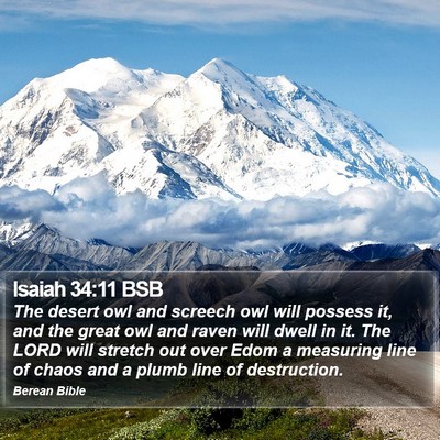 Isaiah 34:11 BSB Bible Verse Image