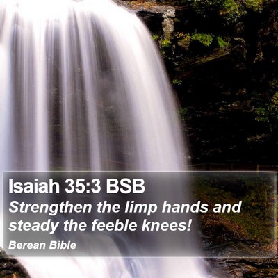 Isaiah 35:3 BSB Bible Verse Image