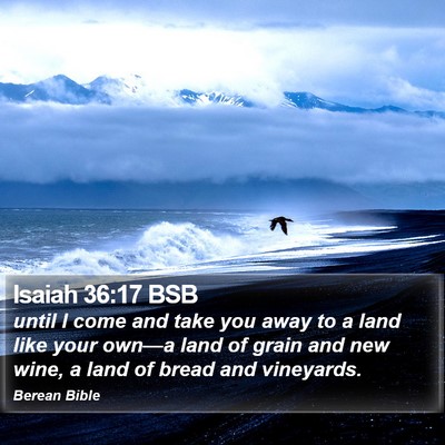 Isaiah 36:17 BSB Bible Verse Image