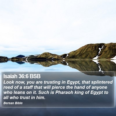 Isaiah 36:6 BSB Bible Verse Image