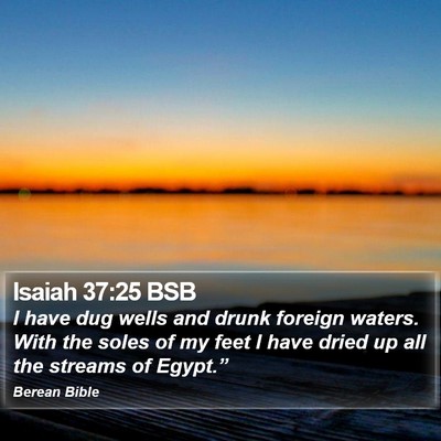 Isaiah 37:25 BSB Bible Verse Image
