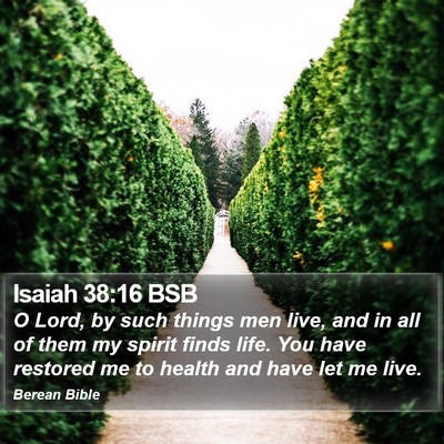 Isaiah 38:16 BSB Bible Verse Image