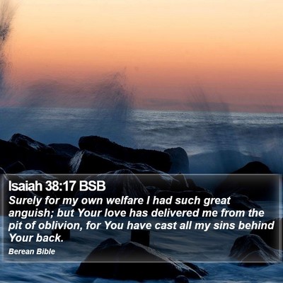 Isaiah 38:17 BSB Bible Verse Image
