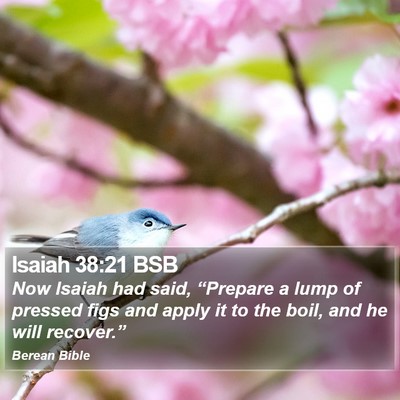 Isaiah 38:21 BSB Bible Verse Image
