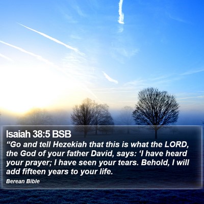 Isaiah 38:5 BSB Bible Verse Image