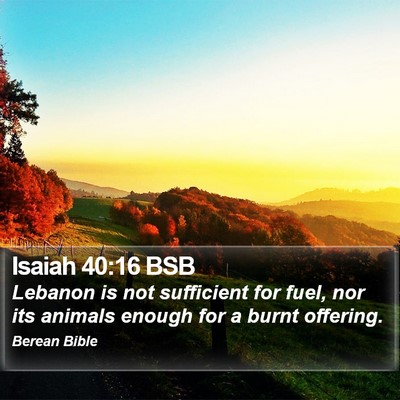 Isaiah 40:16 BSB Bible Verse Image