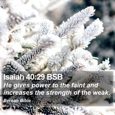 Isaiah 40:29 BSB Bible Verse Image
