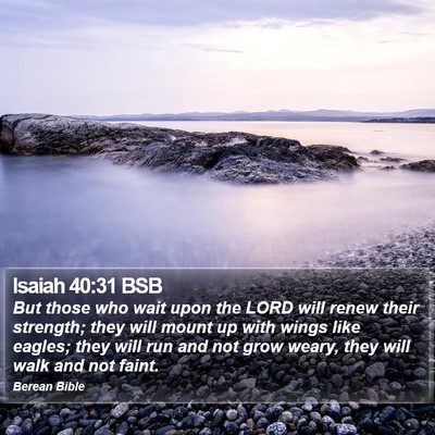 Isaiah 40:31 BSB Bible Verse Image