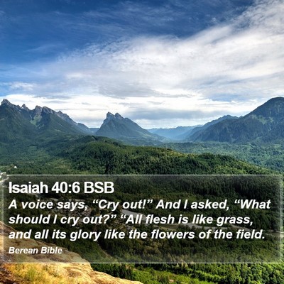 Isaiah 40:6 BSB Bible Verse Image