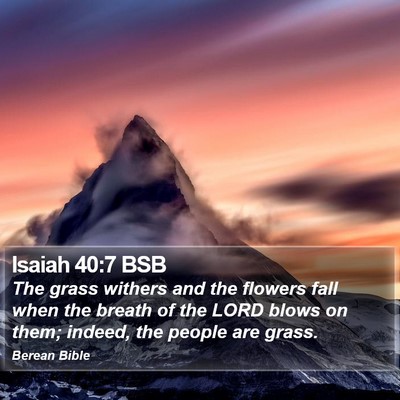 Isaiah 40:7 BSB Bible Verse Image