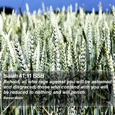 Isaiah 41:11 BSB Bible Verse Image