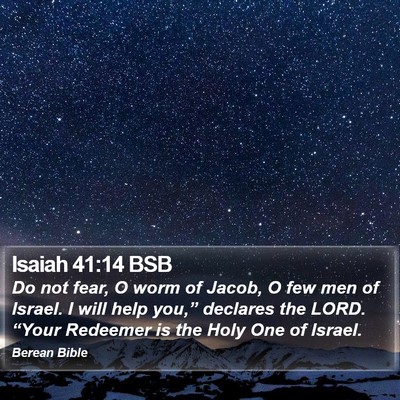 Isaiah 41:14 BSB Bible Verse Image