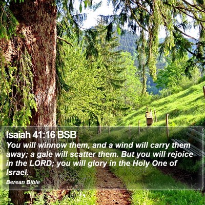 Isaiah 41:16 BSB Bible Verse Image