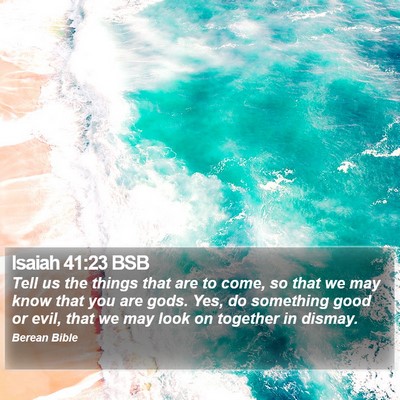 Isaiah 41:23 BSB Bible Verse Image