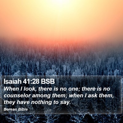 Isaiah 41:28 BSB Bible Verse Image