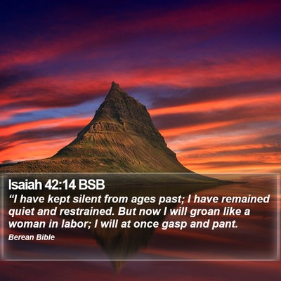 Isaiah 42:14 BSB Bible Verse Image