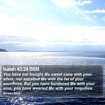 Isaiah 43:24 BSB Bible Verse Image