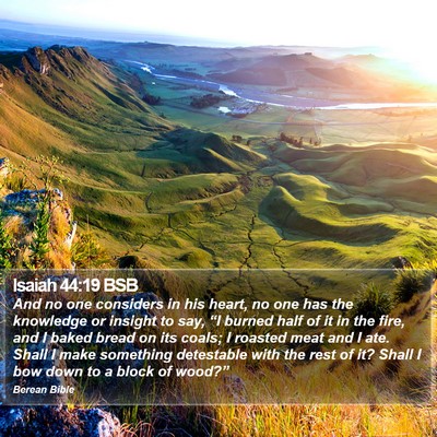 Isaiah 44:19 BSB Bible Verse Image