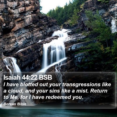 Isaiah 44:22 BSB Bible Verse Image