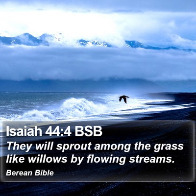 Isaiah 44:4 BSB Bible Verse Image
