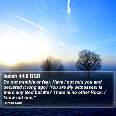 Isaiah 44:8 BSB Bible Verse Image